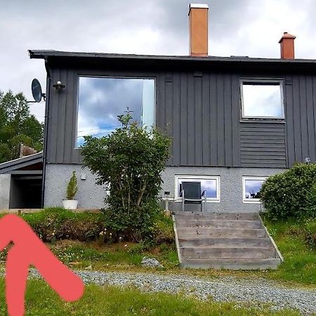 Aurora Rooms In Shared Hsuse Nr3 We Are Doing Northen Lights Trip, Reaindear Trip And Sommaroy Fjord Trips Tromso Exterior photo