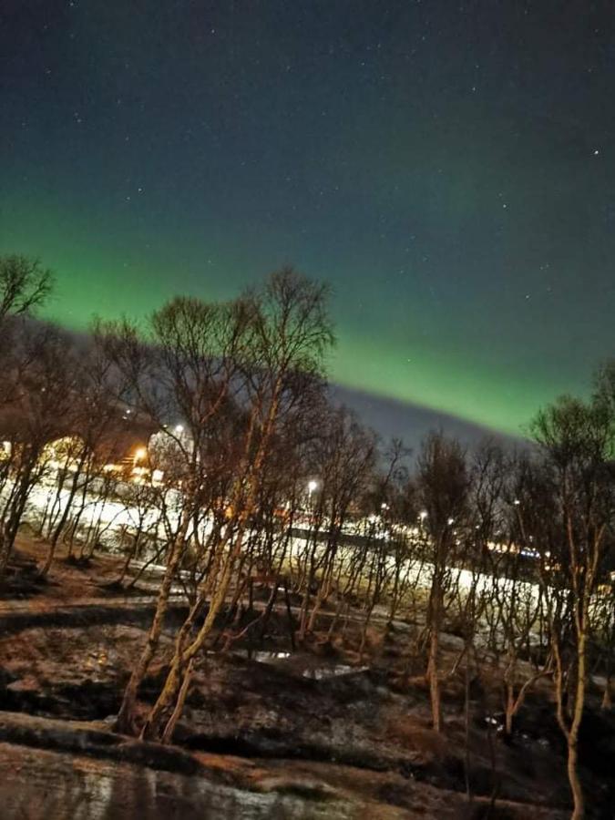 Aurora Rooms In Shared Hsuse Nr3 We Are Doing Northen Lights Trip, Reaindear Trip And Sommaroy Fjord Trips Tromso Exterior photo